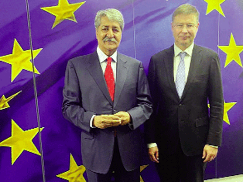 Diversification of Pakistan’s export portfolio with EU urged: Minister Qamar