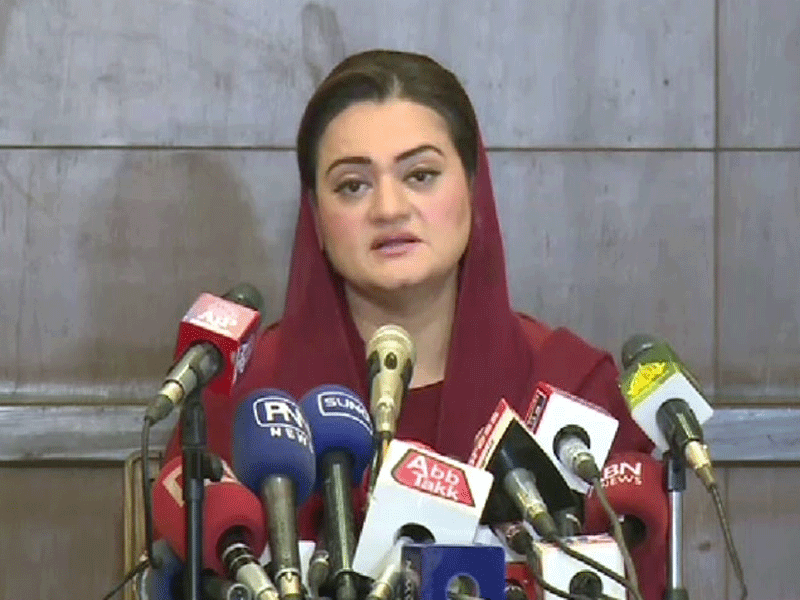 Marriyum holds Imran responsible for economic, political crises