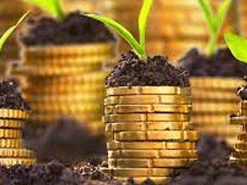 Non-recovery of loans worth over Rs44bn of Agricultural Bank