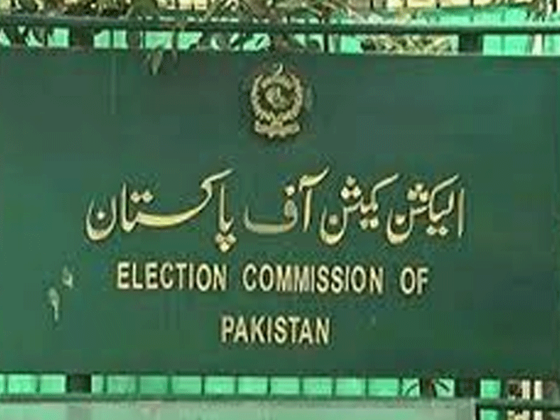 EC reserves judgment on LB polls: Murtaza, Waseem, Hafiz Naeem appear