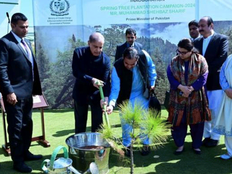 PM inaugurates Spring Tree Plantation drive