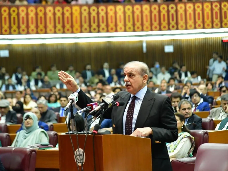 PM Shehbaz vows to ensure sanctity of Constitution