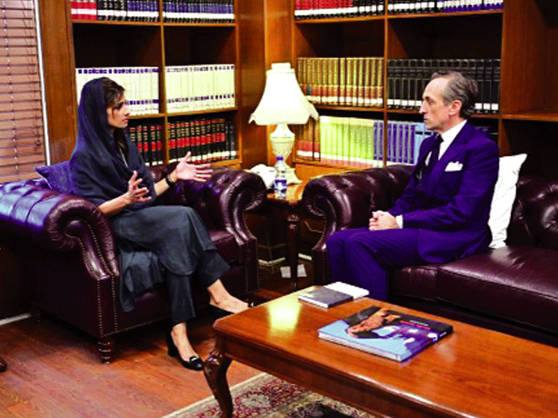 Hina Rabbani discusses relief efforts with UN Resident Coordinator