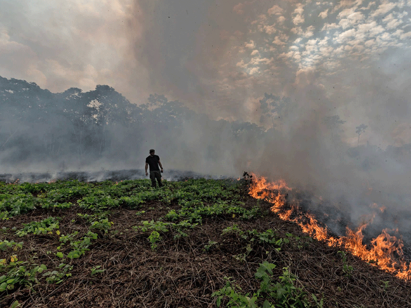 Deforestation and the climate change effects