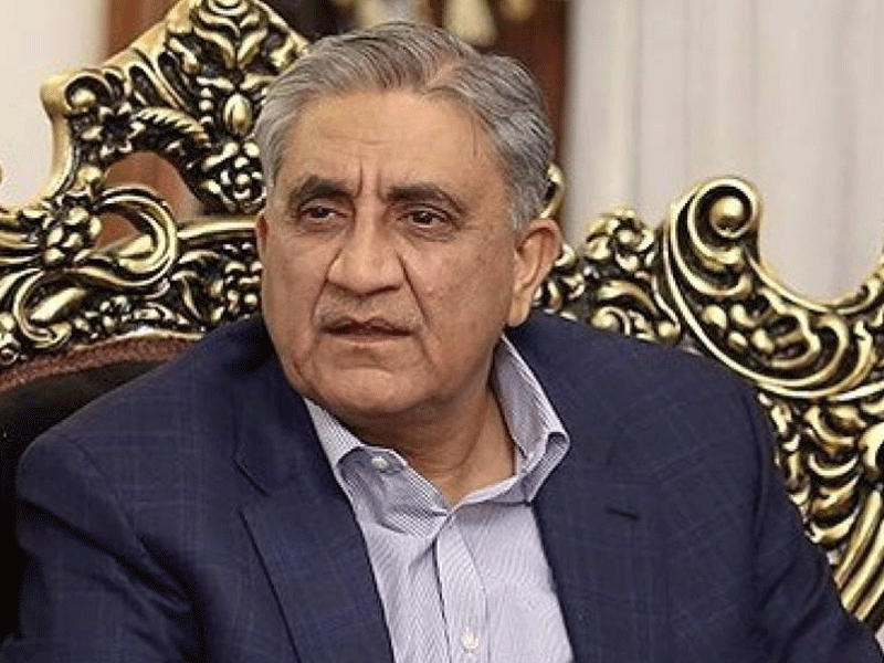 Gen (retd) Bajwa data leak case adjourned