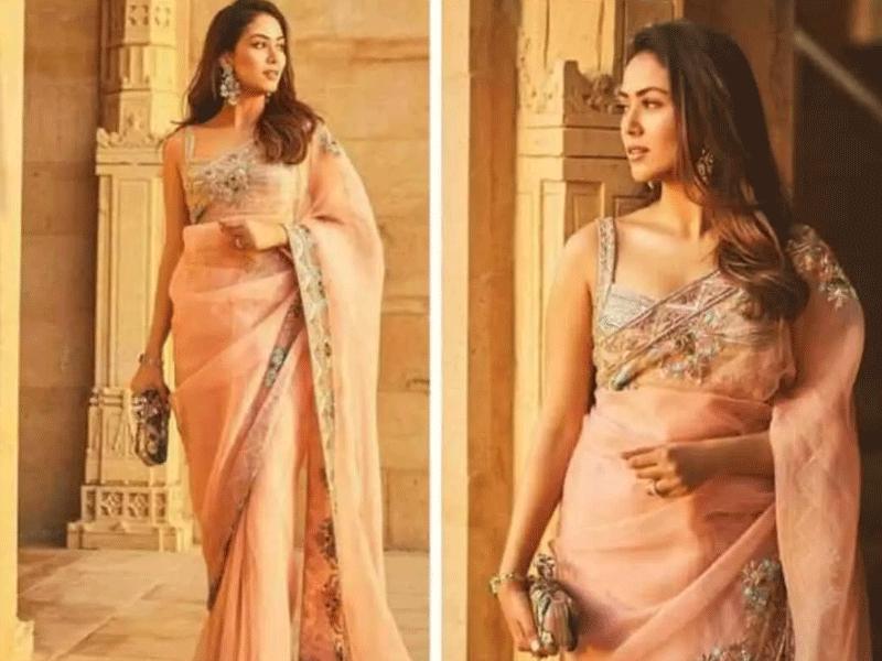 Mira Rajput exudes glam in Manish Malhotra pink saree