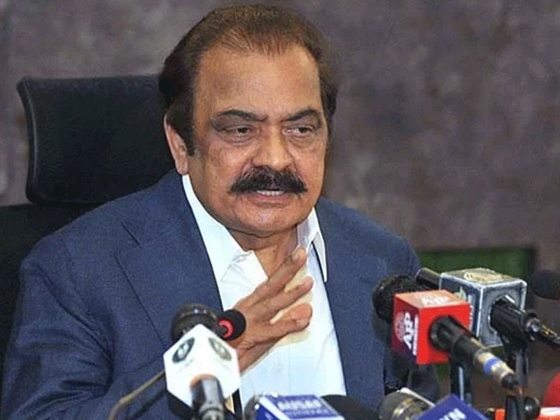 PML-N does not need political alliance in upcoming general election, says Rana Sanaullah