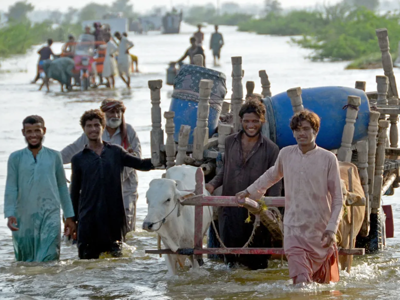 Colossal flood devastation affected over 33m people: FO