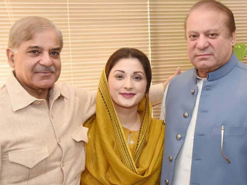 PM Shehbaz, Nawaz discuss Punjab situation in Geneva