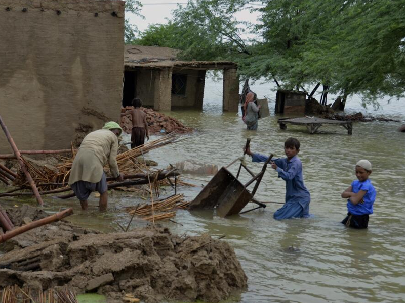 PCB to donate gate money of first T20I for Pakistan flood victims