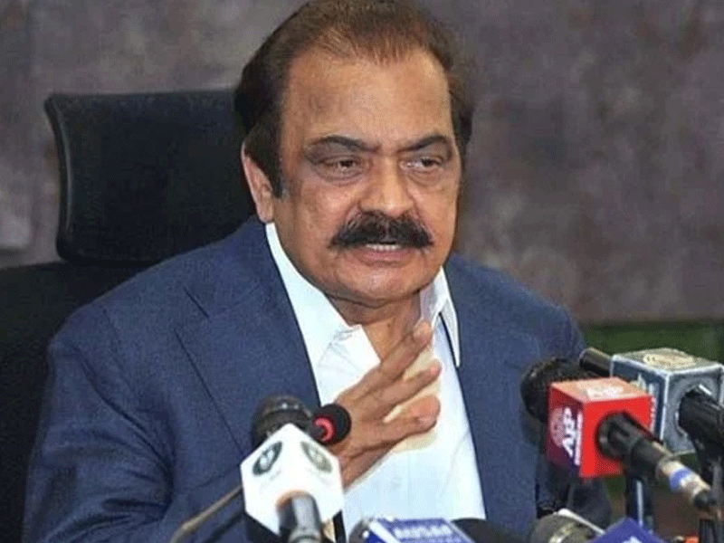 PPP statements against PML-N no big deals, tells Rana