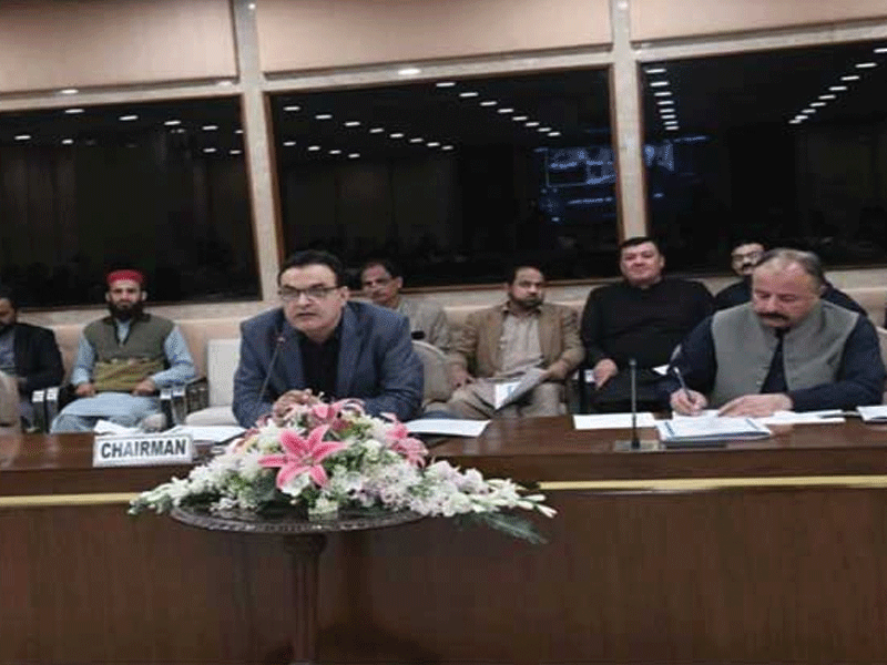 PAC demands for sacking chairman WapdaISLAMABAD: Public Accounts Committee (PAC) has been told that appointments have been made at inflated salaries illegally in different projects including Dasu H