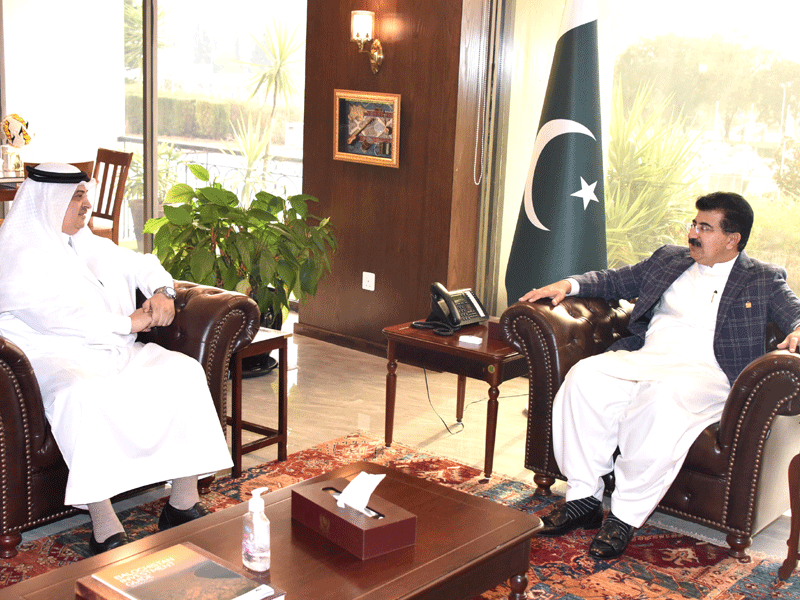 Saudi Ambassador calls on Chairman Senate