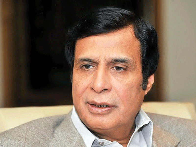 Govt will have to provide funds to EC at every cost: Pervez Elahi