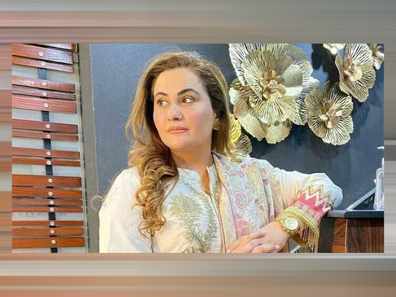 Nargis files defamation lawsuit against Nigar Chaudhry, 10 YouTubers