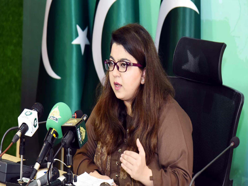 Internet service slowed down due to VPNs: Shaza Fatima