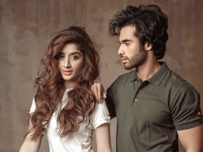 Mawra, Ameer to star in drama again