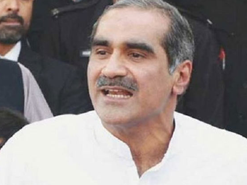 Imran Khan presented as fake Mahatama, savior: Saad Rafiq