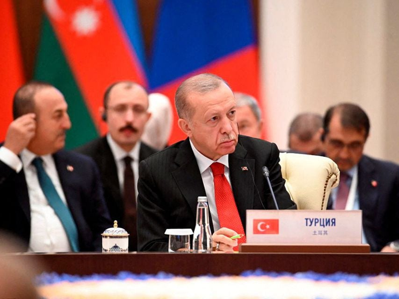 Türkiye making every effort to end Ukraine conflict: Erdogan