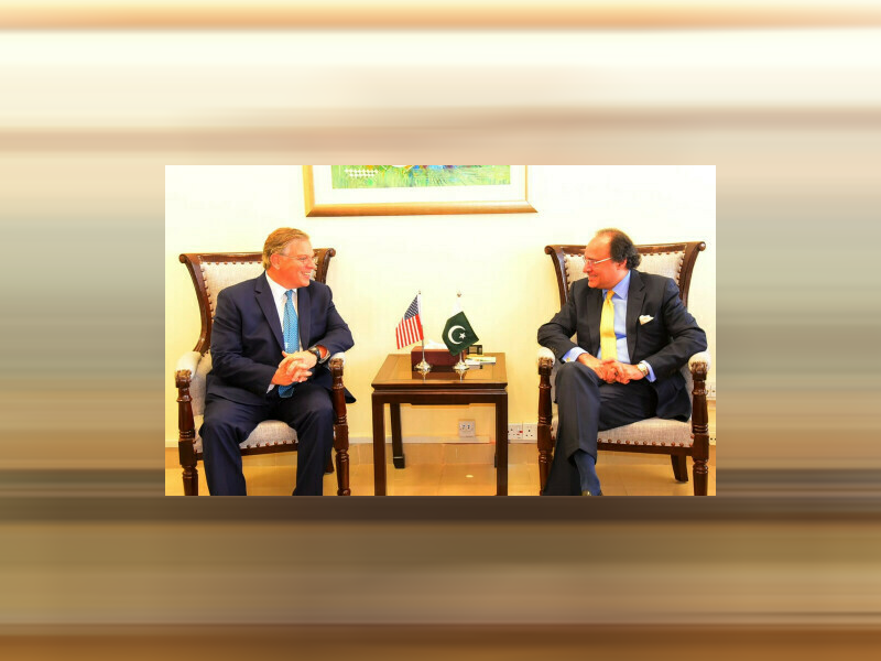 Aurangzeb discusses economic reforms, climate resilience with US envoy