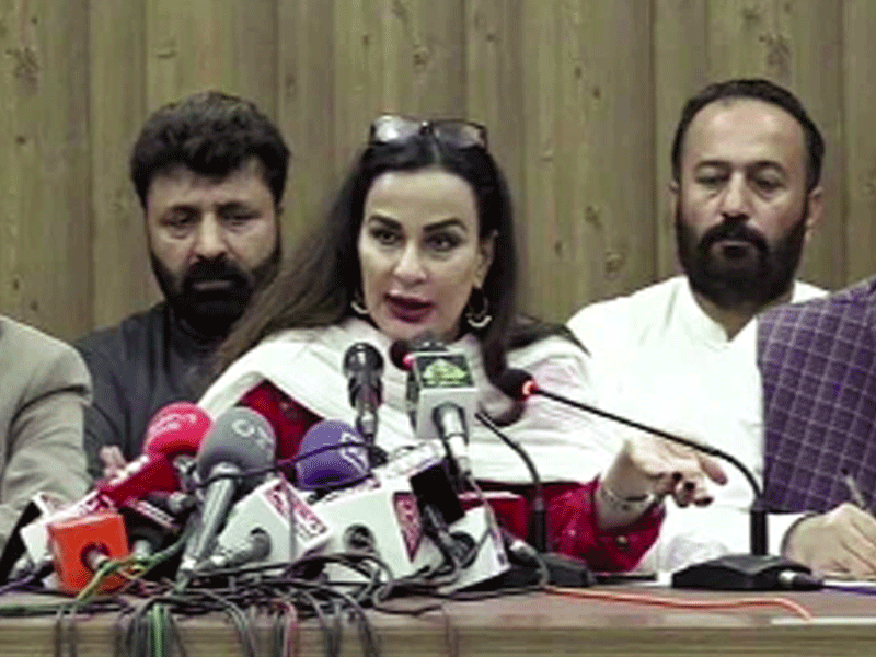 PPP gives vent to its ‘poll date’ grievances in ‘pleasant’ ECP meeting