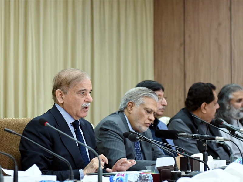 PM Shehbaz forms monitoring committee on implementation of austerity measures