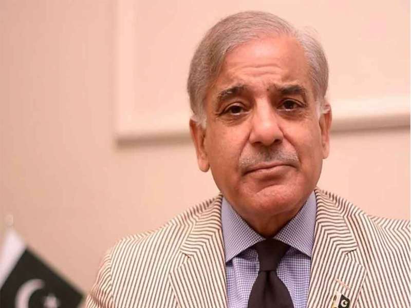 Conviction of ‘darling’ suspended, not ‘abolished’: Shehbaz