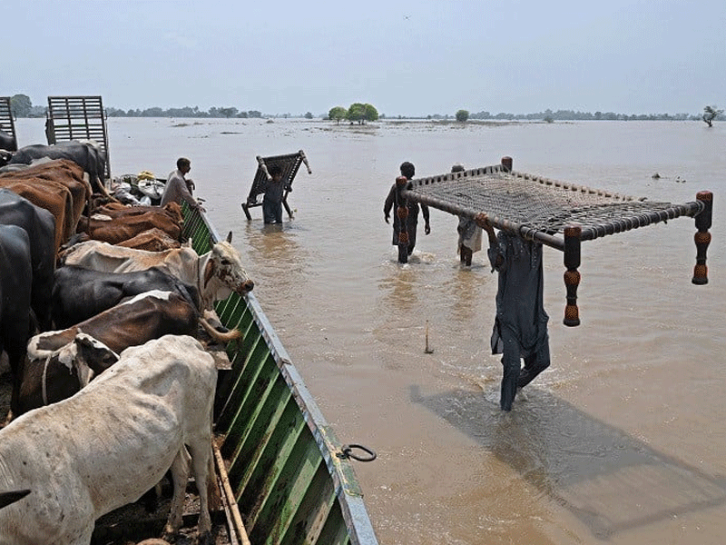 Sutlej floods: 100,000 people evacuated in Punjab