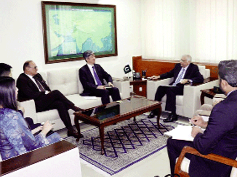 Planning Minister, Chinese official discuss energy projects