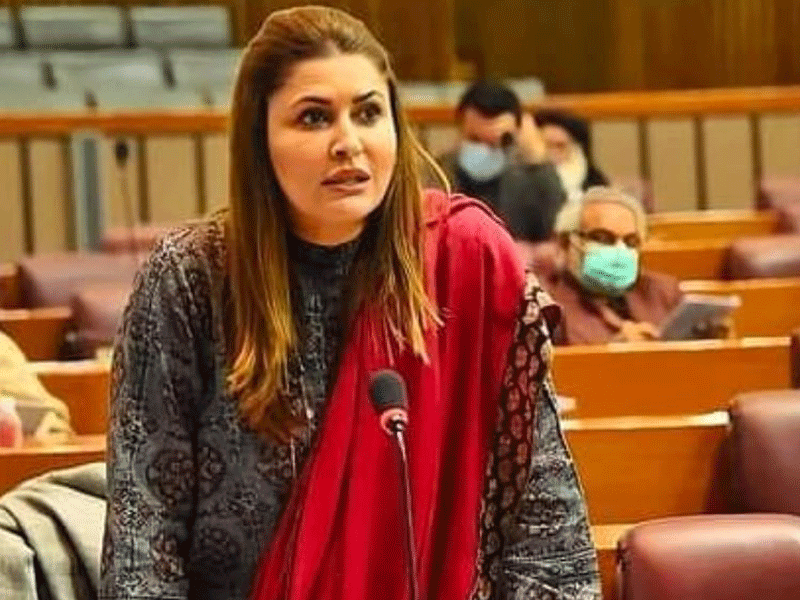 Transgender community must be included in mainstream: Shazia Marri