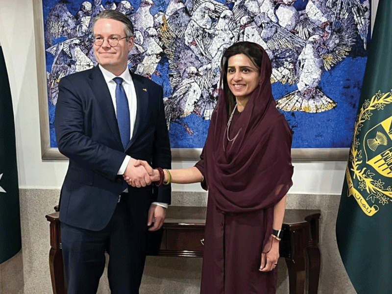 Hina Khar, German Minister discuss regional, global issues