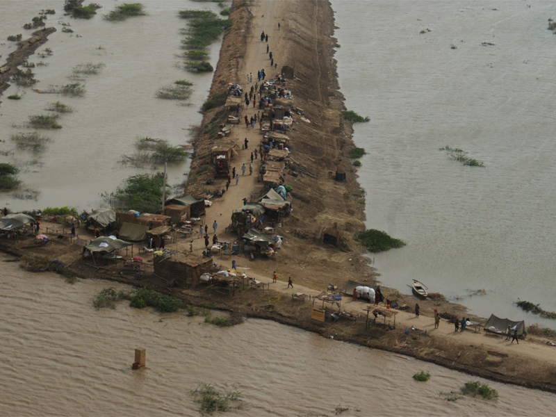 Pitiless tree cutting in hilly areas by PTI regime caused heavy floods