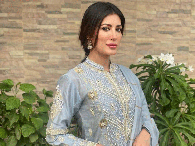 Mehwish Hayat claps back at user questioning her work ethic