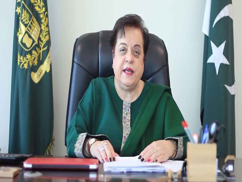 Mazari moves IHC for removal of name from ECL