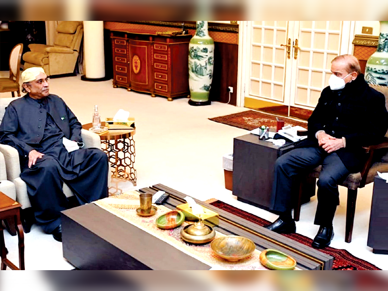 PM, Zardari discuss political situation