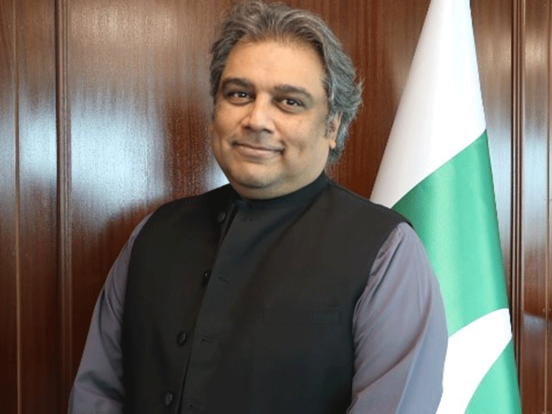 No democratic party runs away from elections like PDM alliance does: Ali Zaidi