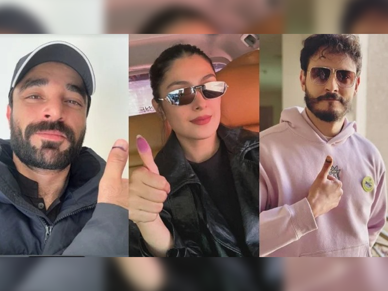 Ayeza, Hamza Abbasi, other celebs cast votes