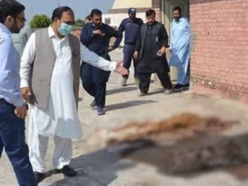 CM Punjab takes notice of abandoned bodies found on roof of Nishtar Hospital