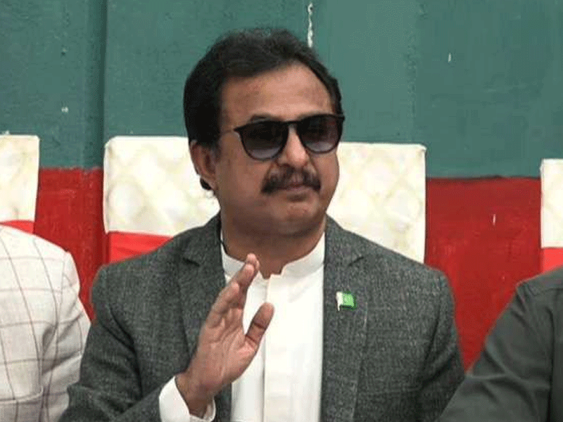 Haleem Adil says some political dwarfs criticising Imran