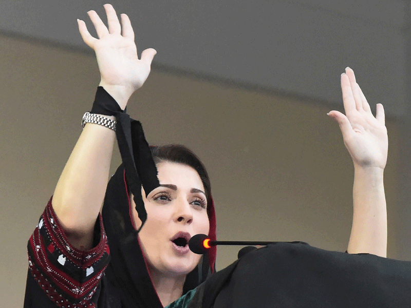 Shehbaz names Maryam Nawaz as senior VP PML-N: Marriyum