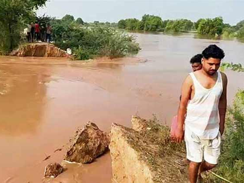 Hundreds of acres of land submerged as Sutlej continues to swell