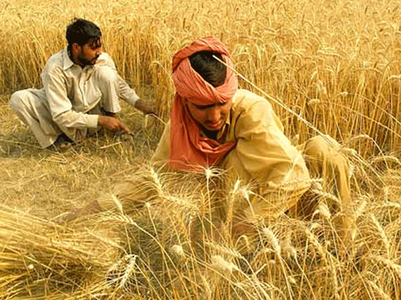 Kissan package: a welcome step