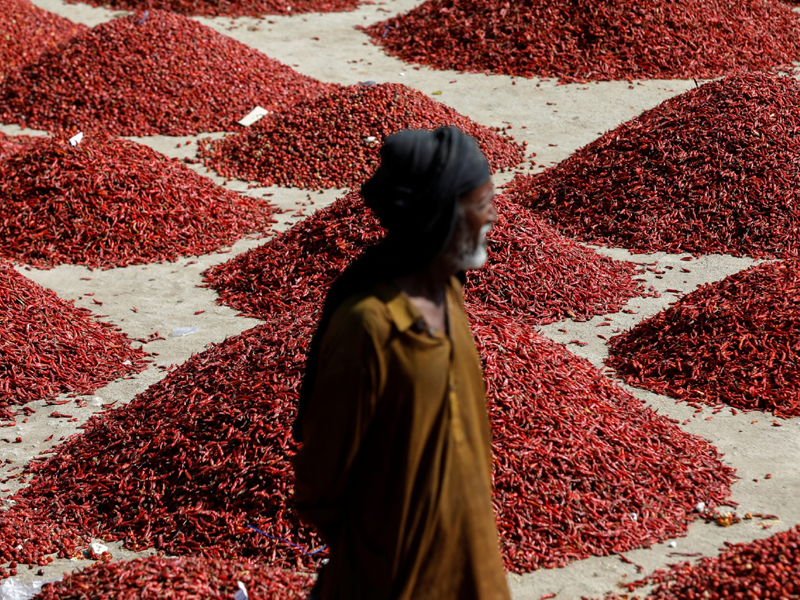 First batch of Pakistani dried chilli arrives in China