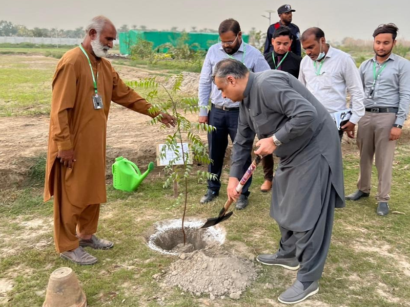 Dr Asim Hussain kicks-off mass plantation drive at Ziauddin University, Hospital Sukkur campus