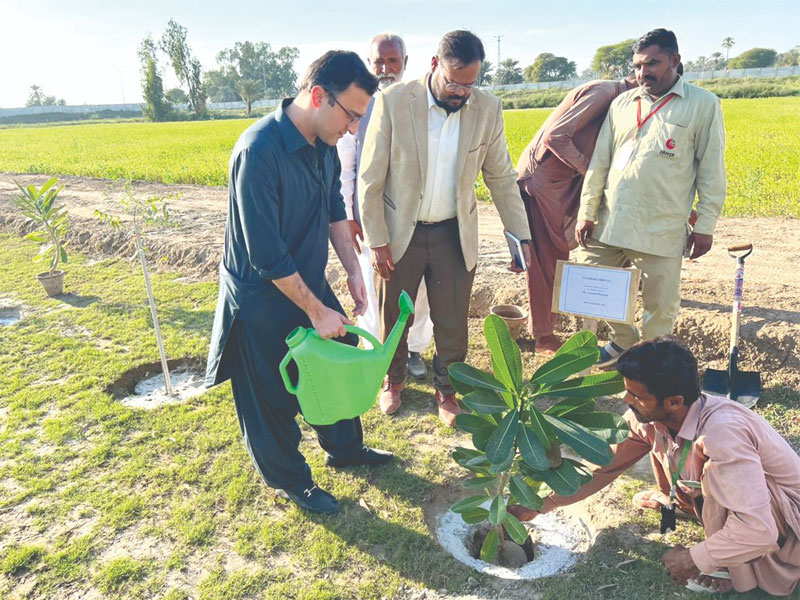 Dr Ammad Hussain’s ‘meet and greet’ session, tree plantation at Ziauddin University Sukkur campus