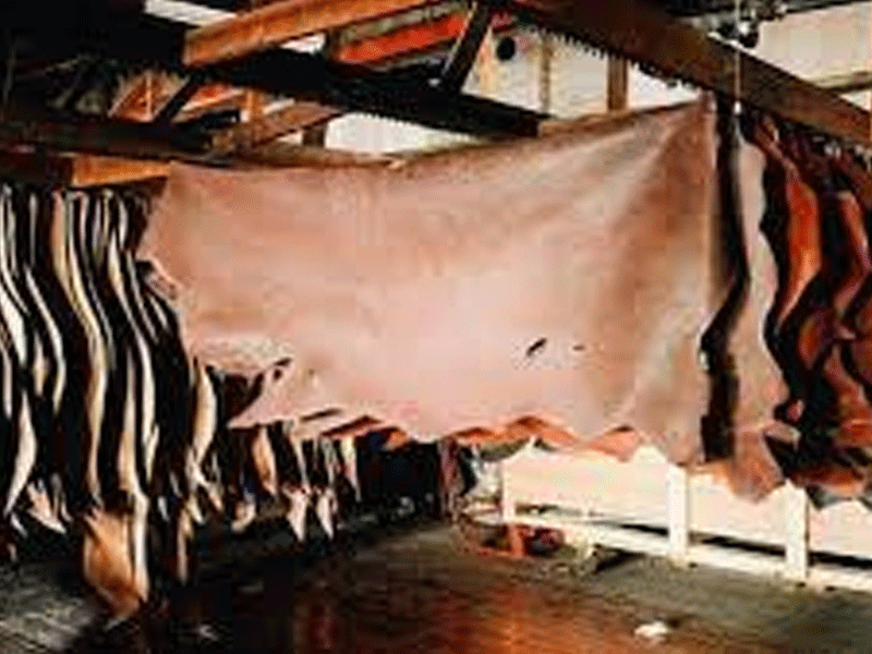 Pakistan exported textile products worth $10bln in 7 months