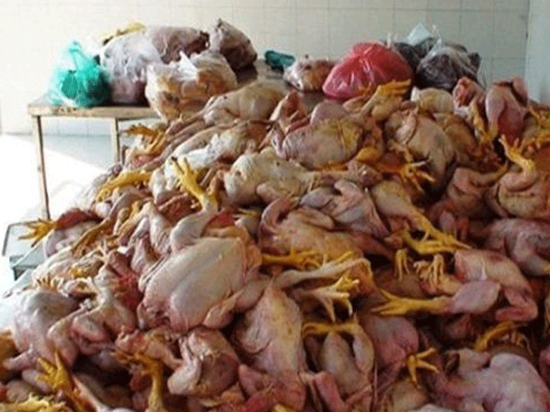 Gang arrested for supplying dead chickens, recovered 300kg meat