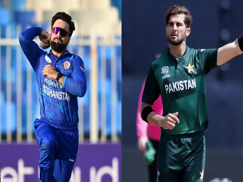 Afghanistan’s Rashid dethrones Shaheen as top ODI bowler