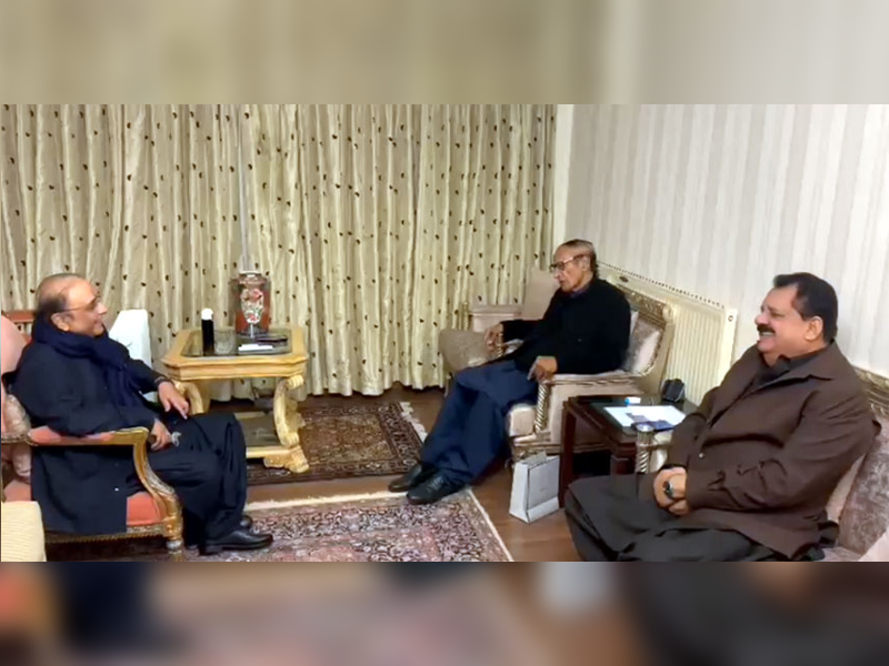 Zardari, Shujaat discuss political situation