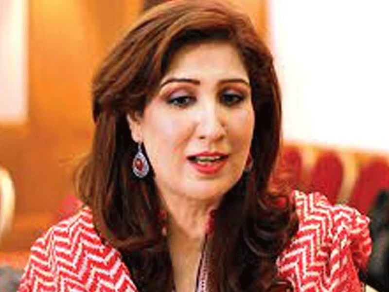 Govt providing all kinds of support to helpless women in safe houses: Shehla Raza